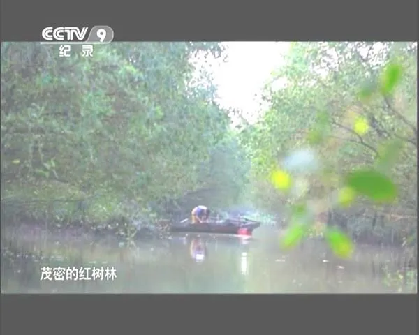 广东美食全6集