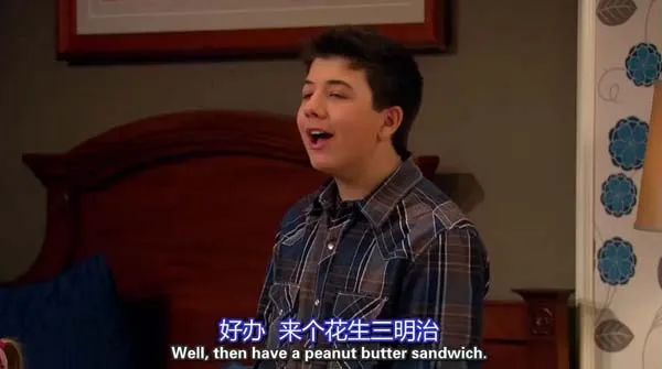 迪士尼家庭情景喜剧