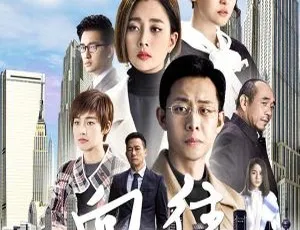 2017 大陆剧 鸡毛飞上天 全55集 1080P高清 殷桃 张译 张佳宁 国语中字-蓝海网
