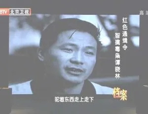 2012 BTV档案缉毒重案录：红色通缉令 智擒毒枭谭晓林 真实案件全记录