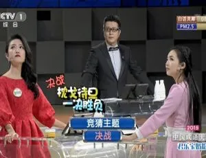2015央视科教 中国成语大会第二季 全12期高清合集-蓝海网