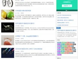 大前端简洁大气响应式WordPress博客主题