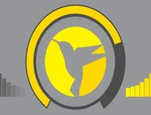 Hummingbird Pro 3.1.0汉化版 - WordPress网站速度优化与缓存加速插件 提升PageSpeed Insights排名-蓝海网