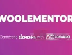 CoDesigner Pro 3.14中文版：原Woolementor Pro - 自定义WooCommerce的Elementor插件-蓝海网