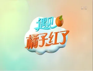 遇见橘子红了纪录片 - 4集国语中字高清全季-蓝海网