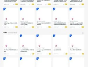 RiPro日主题V6.6 官方正版子主题美化包 简洁大气后台集成v1.6持续更新版