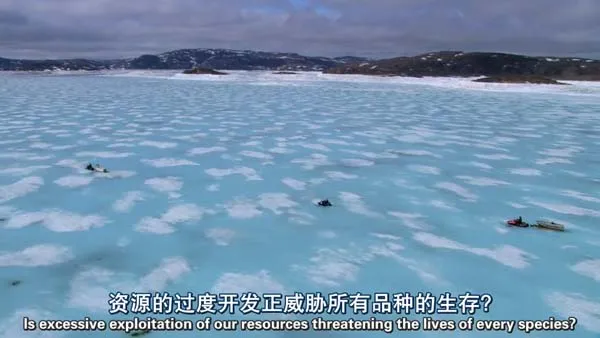 环保纪录片