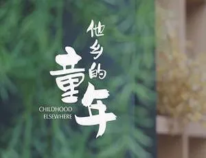 2019高分纪录片他乡的童年完整版 高清中文字幕在线观看