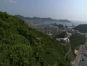世纪台湾全11集 高清国语纪录片-蓝海网
