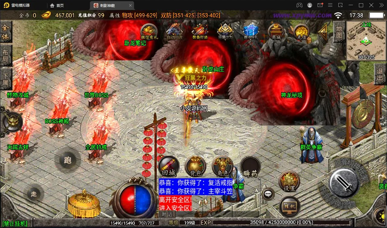 神龍刺影白猪版服务端