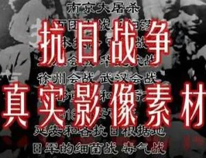 真实抗战历史影像 血肉长城与浴血抗战 国语中字珍藏合集