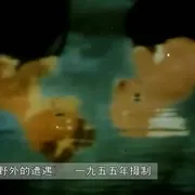 森林探险科学奥秘
