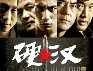 2008硬汉国语高清完整版