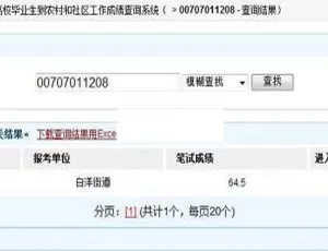 大学生村官考试成绩查询入口