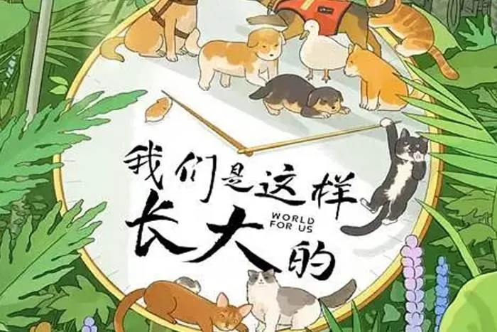 都市宠物情感纪实