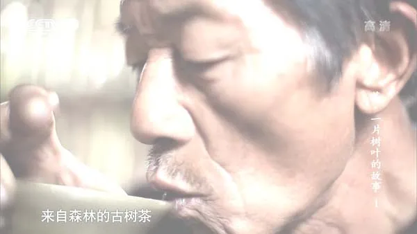 茶一片树叶的故事