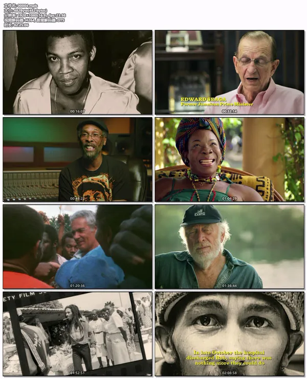 2012 music film