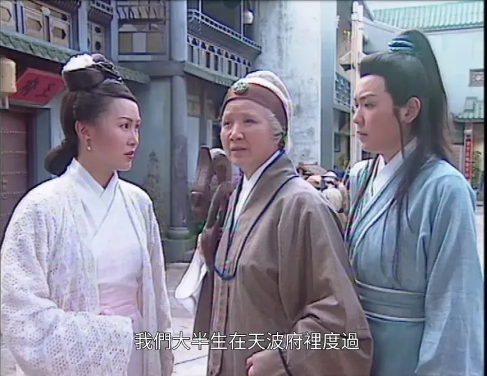 穆桂英之十二寡妇征西