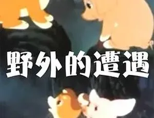 1955野外遭遇 汉语普通话 全1集