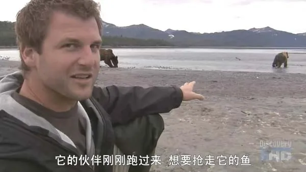 2007自然惊悚片