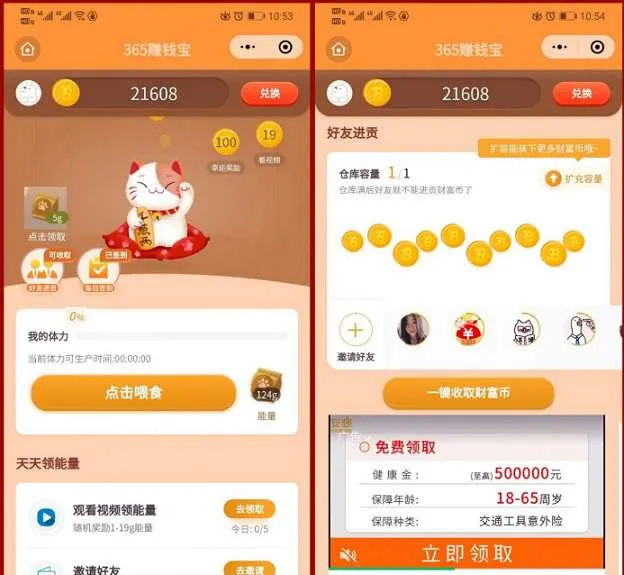 养猫赚钱分红版