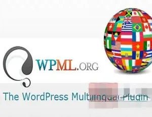 WPML Multilingual CMS 4.6.5中文版 - WordPress多语言网站翻译插件-蓝海网