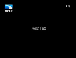 《舌尖上的武汉热干面》全2集高清中字版