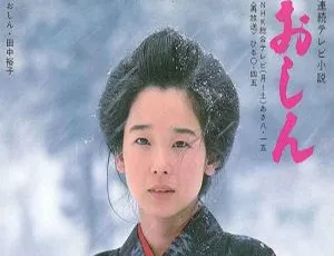 日剧阿信Oshin 1983 全297集 NHK出品 高清国日双语中字-蓝海网