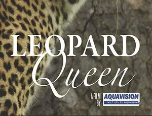 花豹女王 Leopard Queen 纪录片蓝光高清全1集中文字幕完整版
