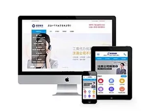 财税工商注册公司模板-移动端适配高效服务-蓝海网