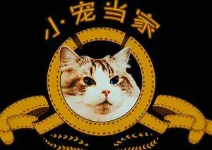 小宠当家纪录片全集