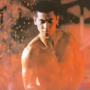 断臂刀客复仇