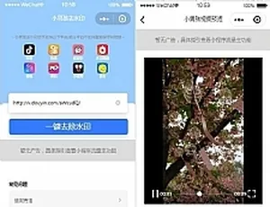 抖音去水印独立版源码 无后台高效解析-蓝海网
