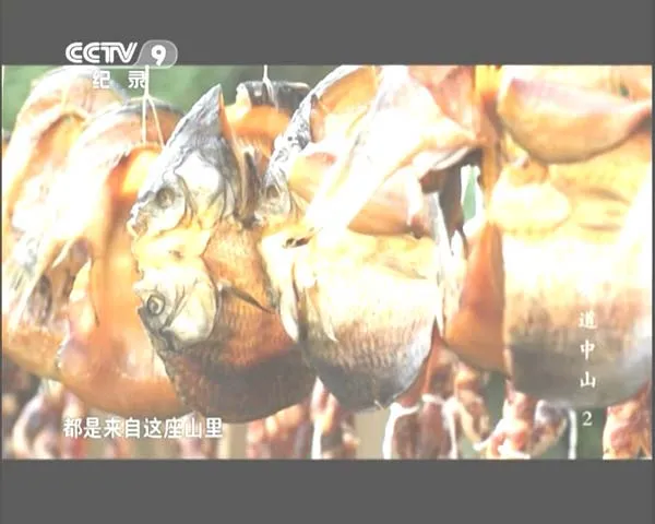 寻味纪录片