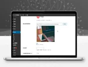 wpay集成WordPress付费主题：会员专享高级版