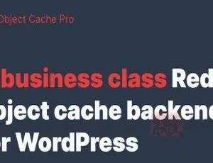 Redis Cache Pro专业版 WordPress高效缓存加速插件-蓝海网