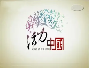 小人物的大电影纪录片-高清1080P全2集国语中字