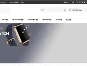 C255专业WordPress购物商城主题 - 外贸电子商务网站模板-蓝海网