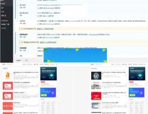 指点聚论坛网站程序 WordPress核心+多功能会员扩展插件-蓝海网