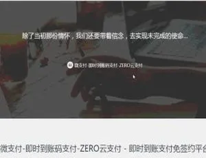 微支付即时到账系统源码高效开发方案-蓝海网
