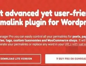 Permalink Manager Pro 2.4.1 中文汉化版：WordPress固定链接管理器插件，高效SEO优化-蓝海网