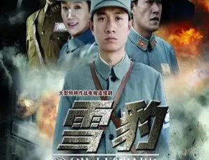 2010大陆电视剧雪豹 文章陶飞霏主演 全40集国语中字-蓝海网