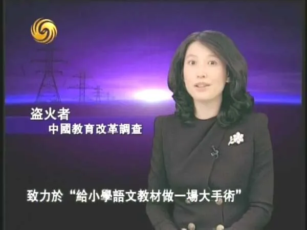 凤凰大视野教育调查
