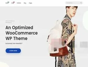 Woostify Pro 1.7.6汉化版 服装电商WooCommerce轻量级WordPress主题模板-蓝海网