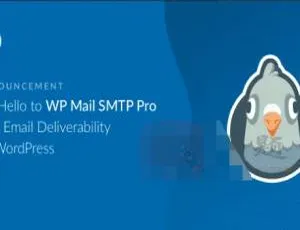 WP Mail SMTP Pro 3.9.0中文汉化版：WordPress高效邮件管理插件-蓝海网