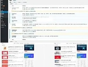 指点聚WordPress论坛全站程序源码
