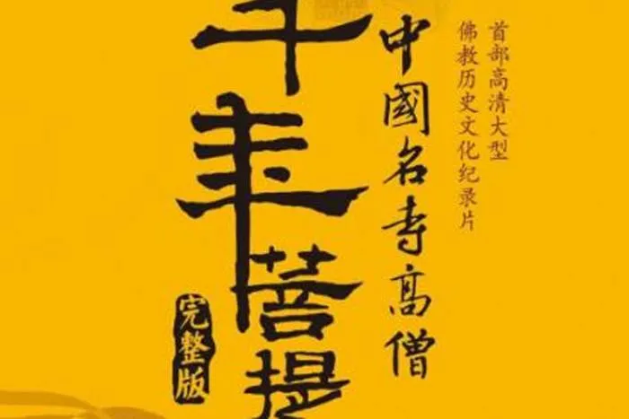 45集DVD珍藏版