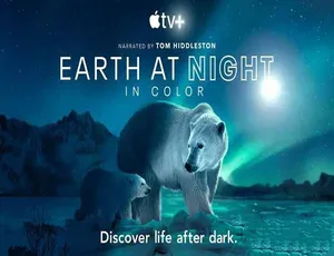 夜色中的地球 Earth at Night in Color 第二季 中文字幕 高清全季收藏
