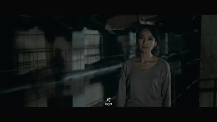 HD720P国语中字