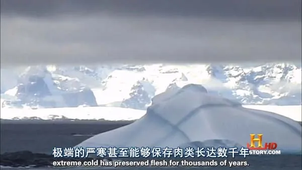 地球生态恢复周期